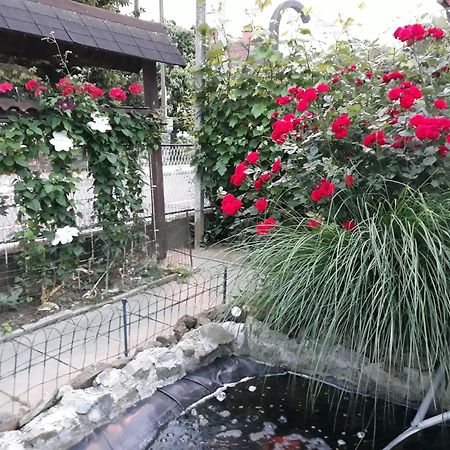 Apartment Zorec Maribor Eksteriør billede