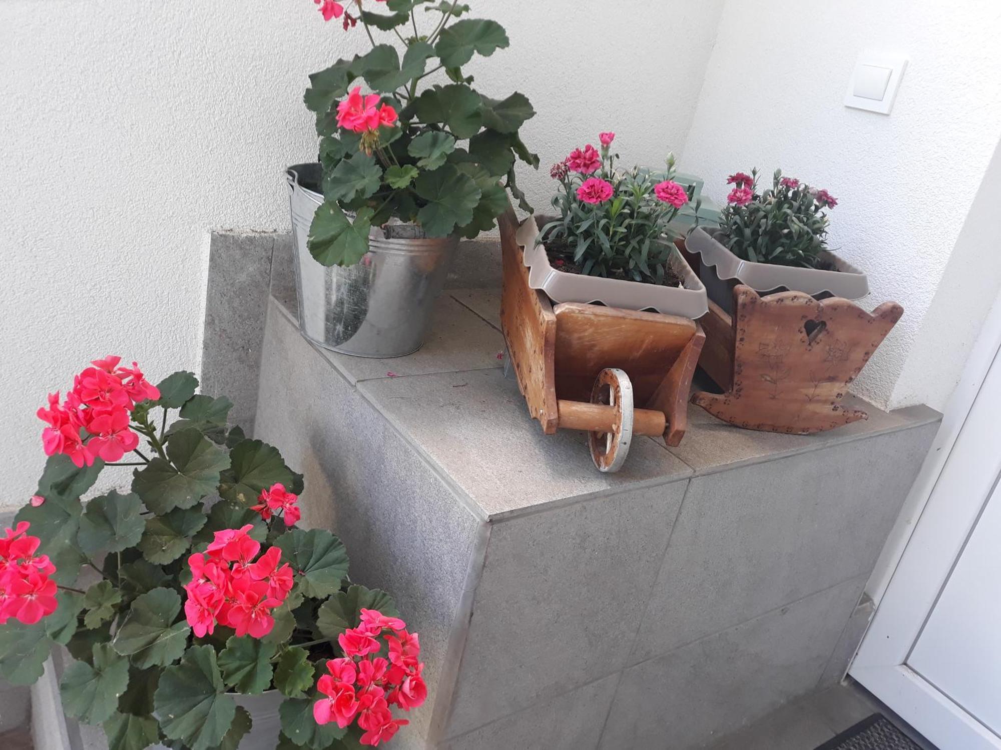 Apartment Zorec Maribor Eksteriør billede